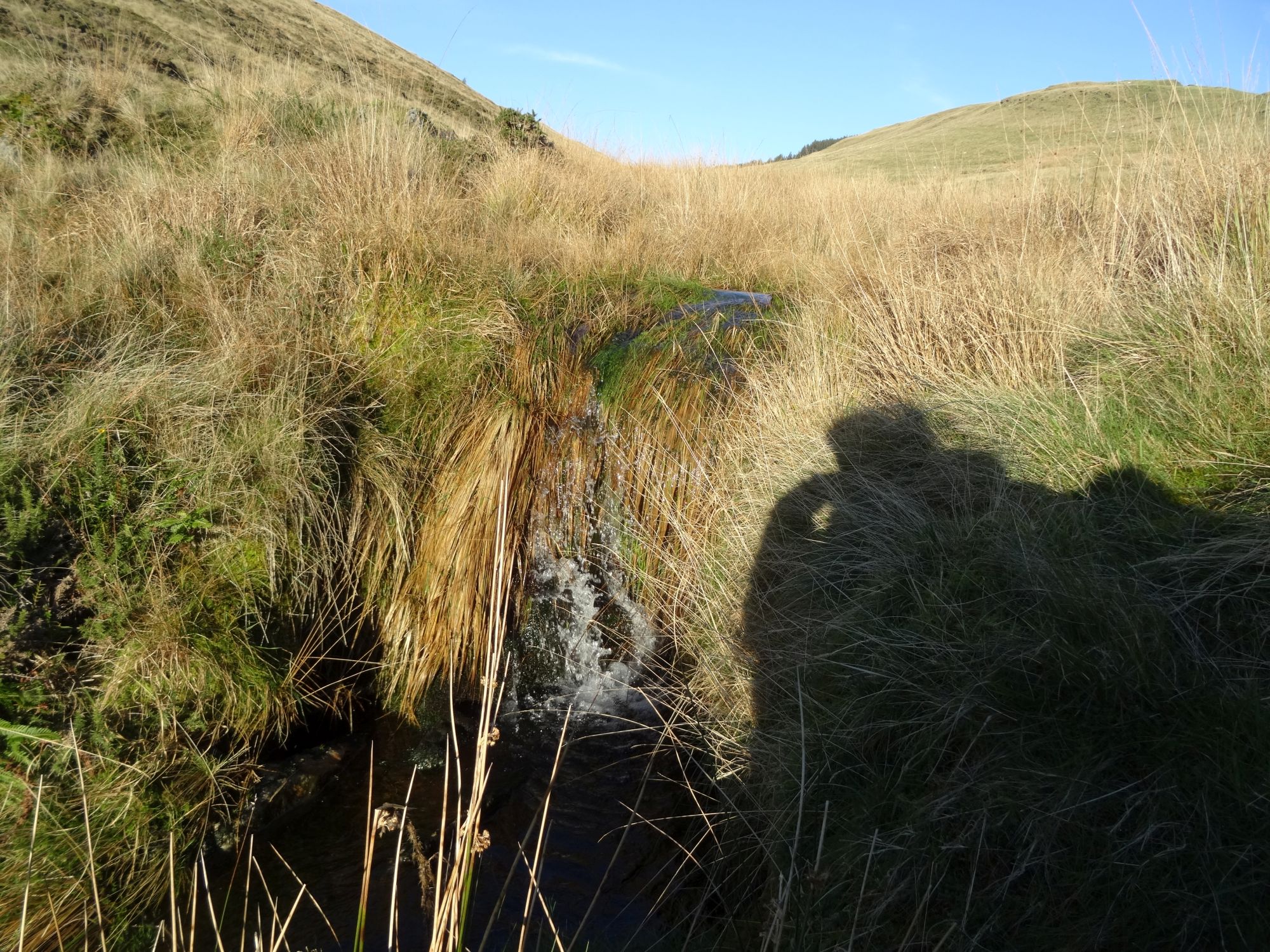 RachelSeabrook.net | Wild Walking | Moel y Llyn | pic33